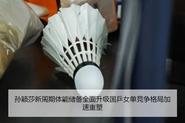 孙颖莎新周期体能储备全面升级国乒女单竞争格局加速重塑